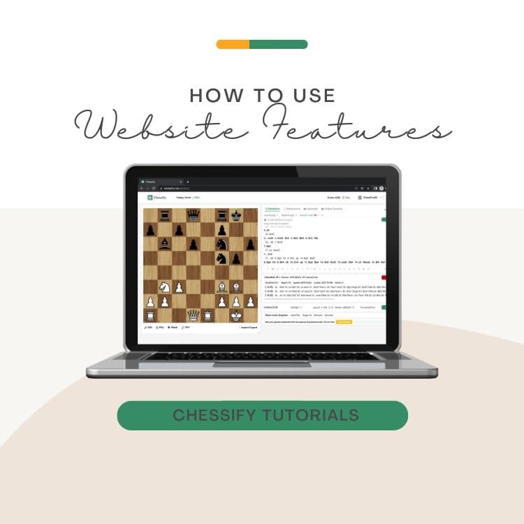 We've Launched Video Tutorials for All Website Features