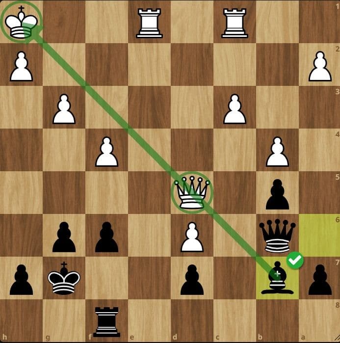 Example of a pin in chess